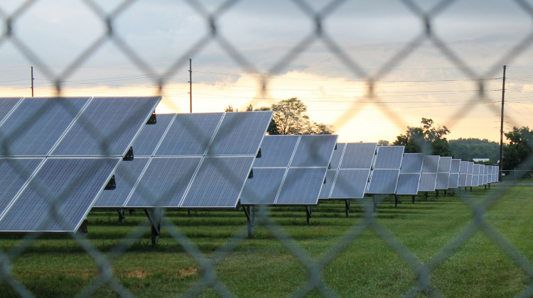 Indiana is expected to see the third highest increase in megawatts of large-scale solar in the country — with nearly four gigawatts, or 4,000 megawatts, proposed. - Lauren Chapman/IPB News