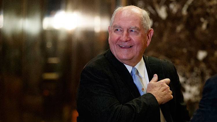 FILE- In this Nov. 30, 2016, file photo, former Georgia Gov. Sonny Perdue smiles as he waits for an elevator in the lobby of Trump Tower in New York.  - AP Photo/Evan Vucci, File