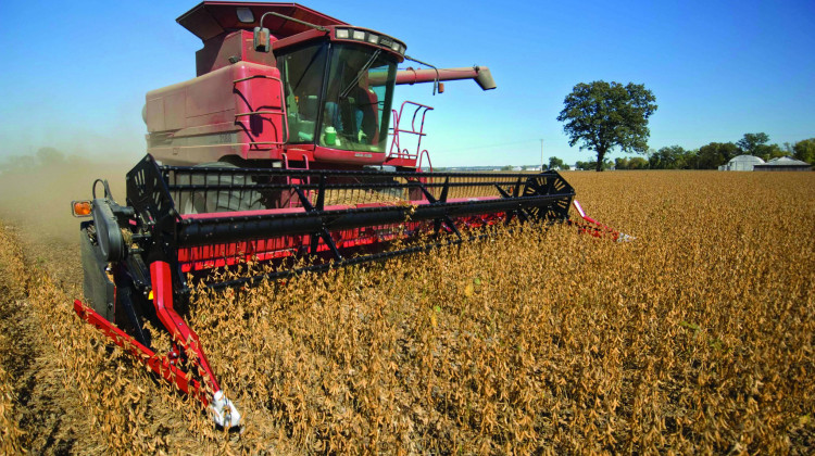 Forecast: 2019 Farm Incomes Should Increase, But Still Short Of 2014