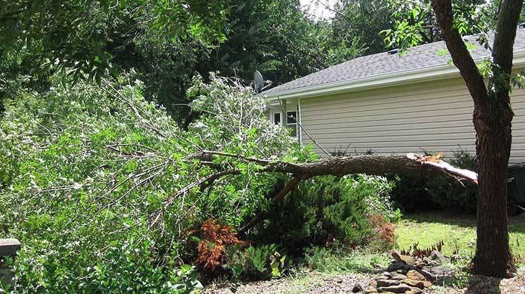 It's not unusual for scammers to show up in areas with water, roof or tree damage and pose as contractors willing and able to help immediately.