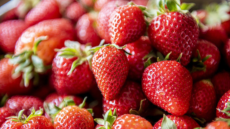 Popular Indy Strawberry Festival Canceled Next Month