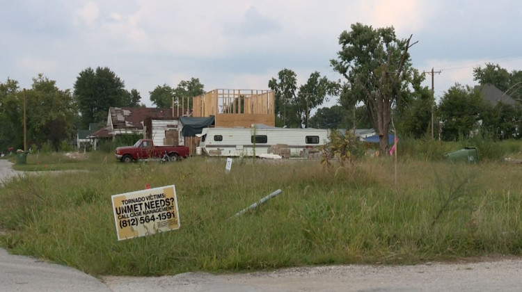 Five months after the tornado, many lots remain untouched and overgrown waiting for new houses to be built.  - Devan Ridgway - WFIU/WTIU