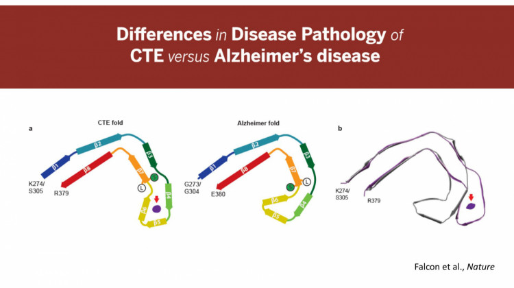 (Provided by Indiana University School of Medicine)