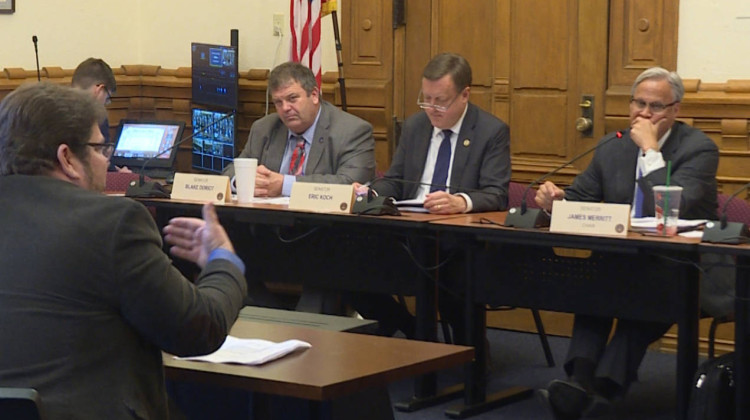 Kerwin Olson of the Citizens Action Coalition speaks in opposition to a bill that lets utilities more quickly recover the cost of certain projects from their customers at a Indiana Senate Utilities Committee hearing in 2019. - Rebecca Thiele/IPB News