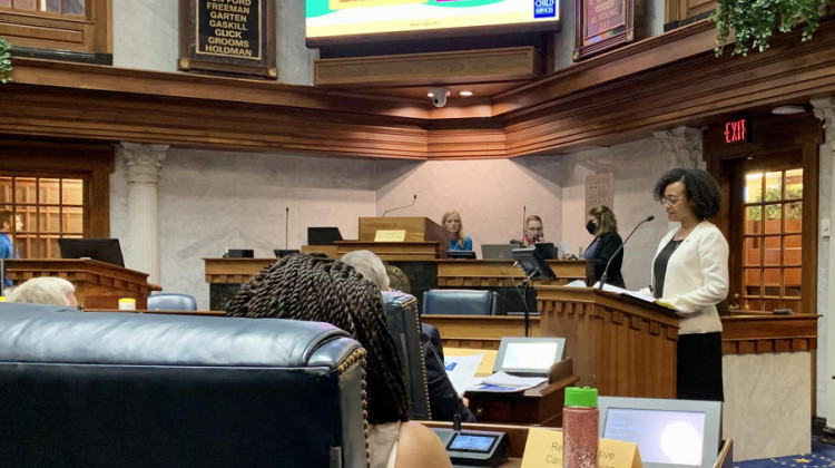 Department of Child Services Director Terry Stigdon, at lectern, testified at the first meeting of the newly-created Study Committee on Child Services. - Brandon Smith/IPB News