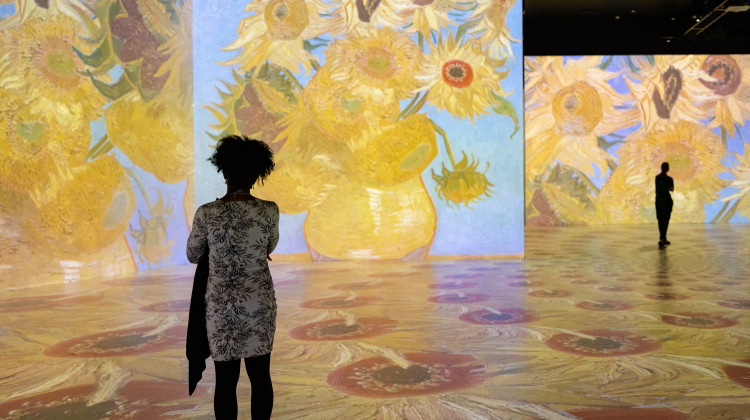 The LUME at Newfields is nearly 30,000 square feet of immersive digital art from the works of Dutch post-impressionist painter Vincent Van Gogh.