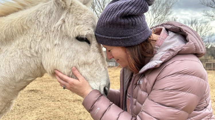 Jesse Zilberstein and her family have taken annual trips to the Selah Carefarm for the past seven years since the death of her youngest son, Gidi. - Oren Zilberstein / Submitted