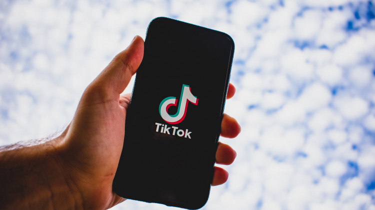The TikTok trend is called ‘devious licks.’ It’s when students post about stealing objects like soap and paper towel dispensers, or damage school property.  - Pixabay