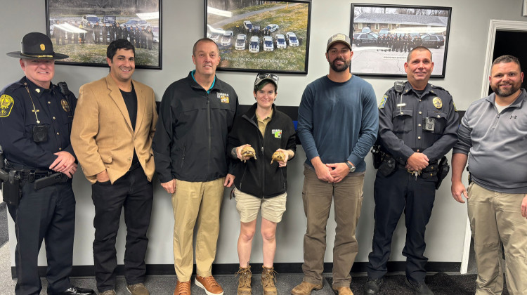 Tortoises stolen from Indianapolis Zoo found nearly 40 miles away