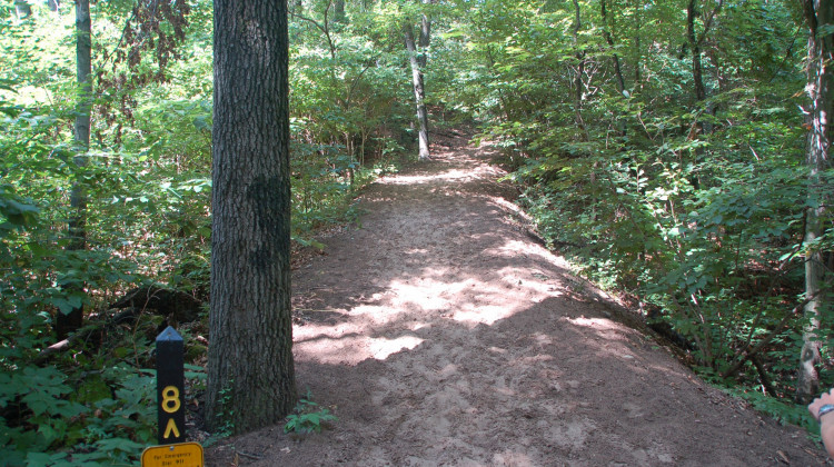 Trail at Indiana Dunes State Park - sheffieldb/CC