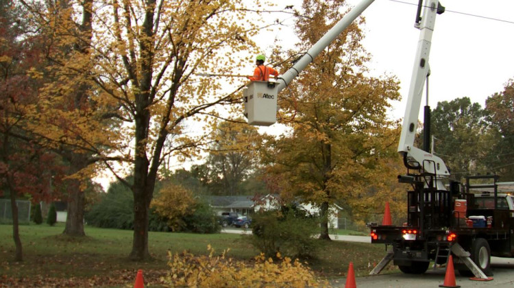 A crew with the Utilities District of Western Indiana REMC does a maintenance trim on trees. - Devan Ridgway/WTIU