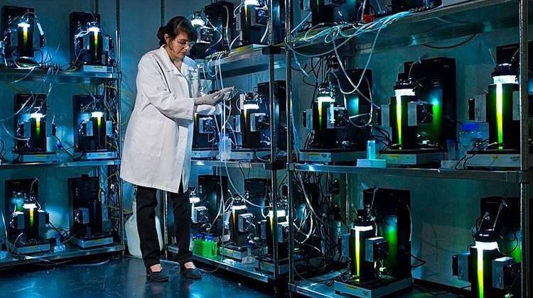 In this 2013 photo a Los Alamos National Laboratory researcher prepares an algae growth experiment. - U.S. Department of Energy