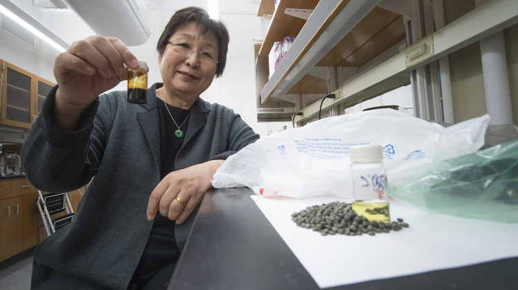 Before the polyolefin plastics can get dissolved in the supercritical water, they're first turned into pellets like the ones in the bottle Linda Wang is holding. - Purdue Research Foundation/Vincent Walter