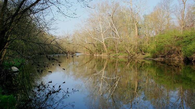 White River - Photo credit: White River Watchers