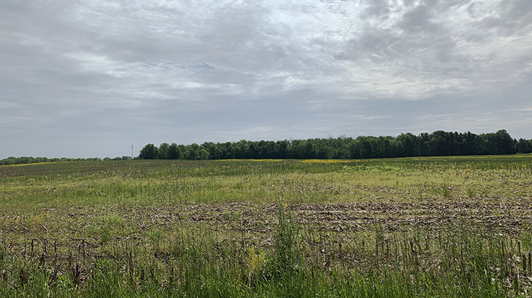 The 124-acre site is at the intersection of Whiteland and Graham roads near Interstate 65 south of Indianapolis. - Anna Jaggers/WFYI
