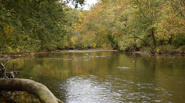 New Preserve Aims To Protect Slice Of White River, Old Canal