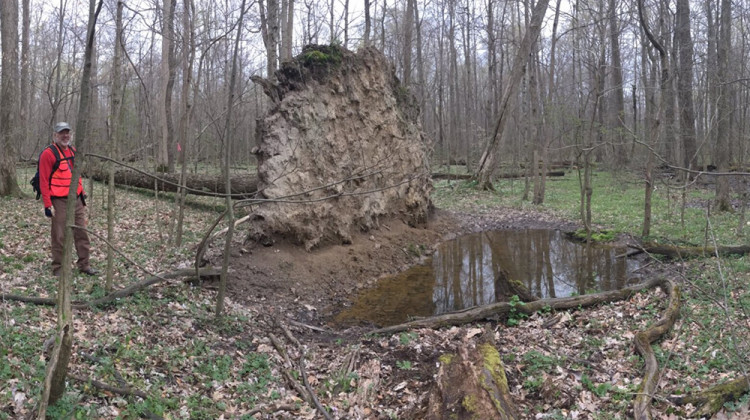 Ball State's Ginn Woods Is The State's Newest Nature Preserve