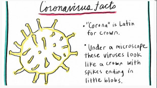 Just For Kids: A Comic Exploring The New Coronavirus