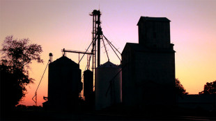 Officials: Indiana Farmers May Struggle With Grain Storage