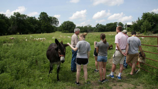 Immersion Program Seeks Next Generation Of Rural Doctors