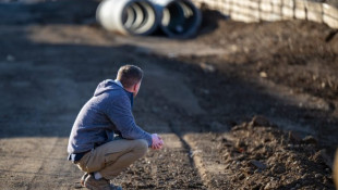 Greenlawn Cemetery: City finishes excavation of more than 1,700 graves