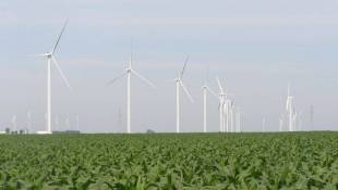 Regulations For Wind Turbines Balance Economic Development, Property Rights