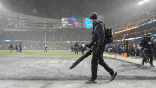 Why the Chicago Bears could be moving to Indiana