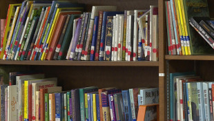 Senate bill would limit legal defense for libraries over access to harmful material