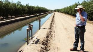 California Farmers Ask: Hey Buddy, Can You Spare Some Water?