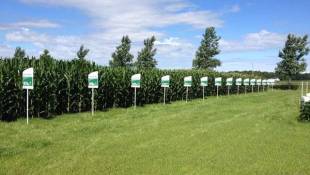 Dow-DuPont Merger's DOJ Approval Raises Concerns