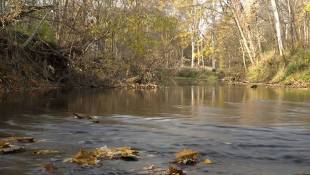 New 96-Acre Nature Preserve Debuts In Northeastern Indiana