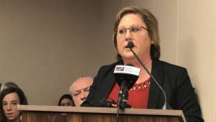 House Committee Cautiously Begins Debate On Township Reform Bill