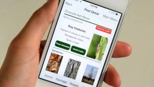 'Tree Doctor' App To Help Homeowners With Emerald Ash Borer
