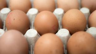 Grocery Prices Begin Recovery From Avian Flu Spike