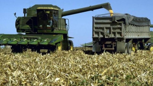 Hoosier farmers react to Trump administration aid amid tariffs