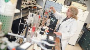 Indiana Scientists Have Lead On First Treatment For Hydrocephalus