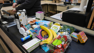 Partial SNAP payments to reach families starting Nov. 11, Braun says