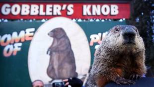 Groundhog Day 2017: Winter Is (Still) Coming, Punxsutawney Phil Says