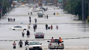 Here's How You Can Help People Affected By Harvey