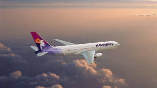Teen Survives Flight To Hawaii In Jet's Wheel Well, FBI Says