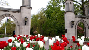 Indiana public colleges cut almost 20% of degrees
