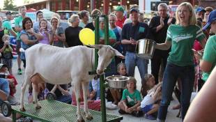 As Agriculture Modernizes, County 4-H Fairs Work To Keep Pace