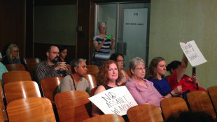 Resolution Calling For Assault Weapons Ban Fails In Committee