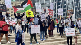 Protesters Demand U.S. Officials Stop Funding Israel, Free Palestine