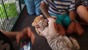 USDA Files Complaint Against Charlestown Wildlife Sanctuary