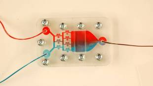 Purdue Develops New Tool For Cancer Risk Prevention