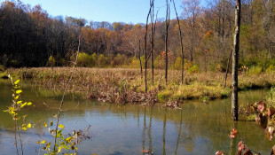 Bill to reduce number of Indiana's most protected wetlands heads to governor