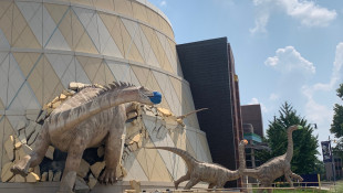 The Childrens Museum Is Ready To Open Its Doors