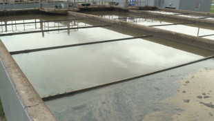 Oil Is Being Illegally Dumped Into Speedway's Wastewater, It's Asking The Public For Help