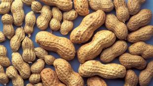 Food Allergy Report Highlights Need For More Research